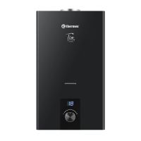 Газовый проточный водонагреватель Thermex T 20 D Black